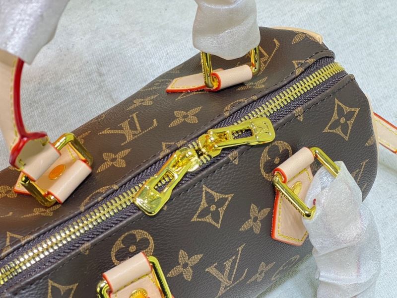 LV Speedy Bags